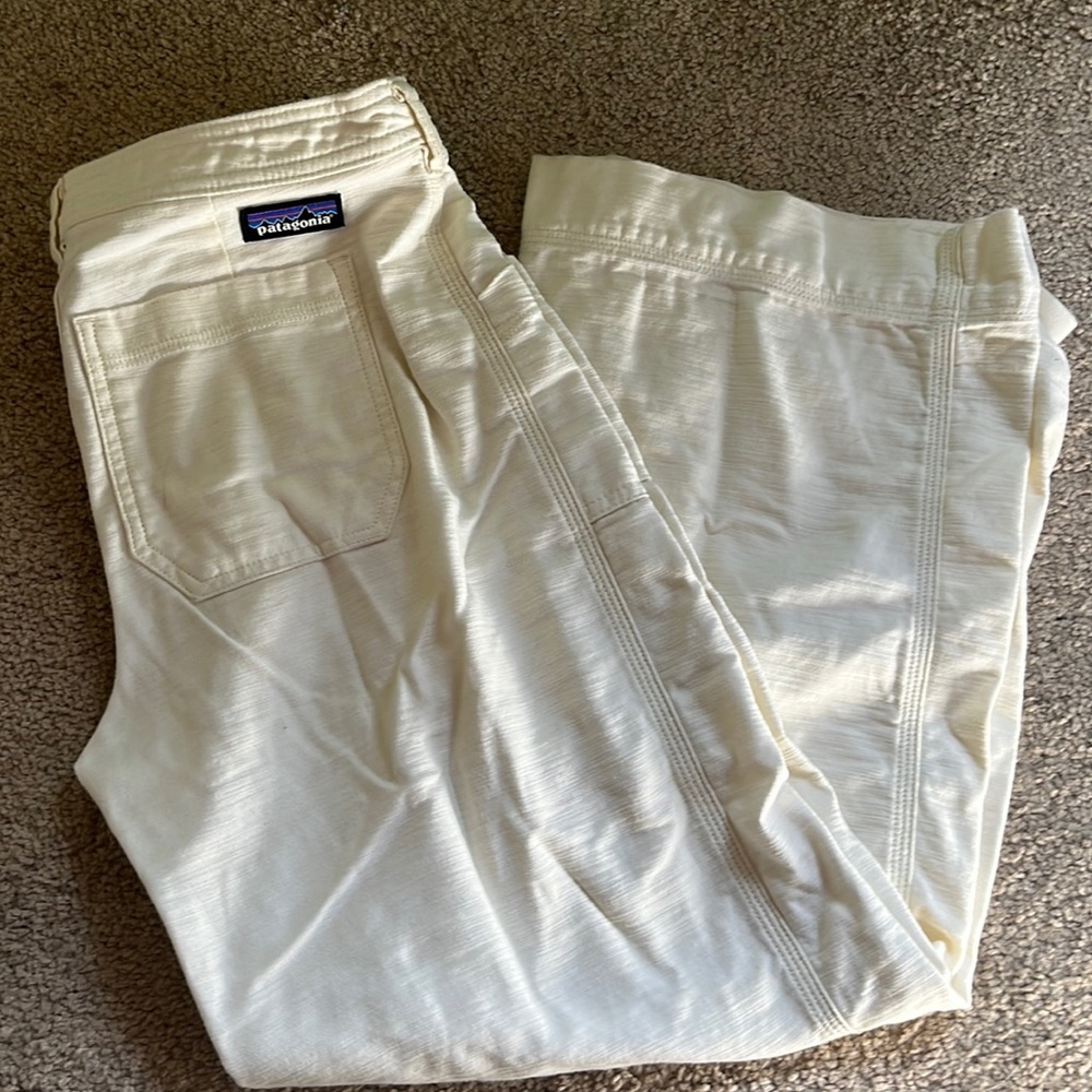 Patagonia pants